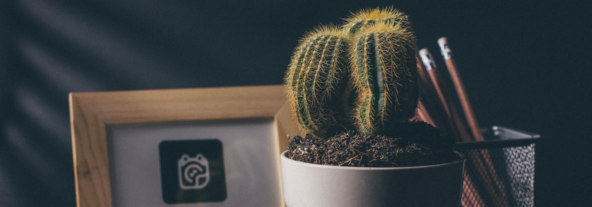 カテゴリー: 未分類